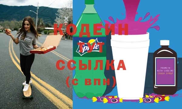 индика Горняк