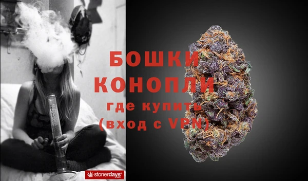стафф Ахтубинск