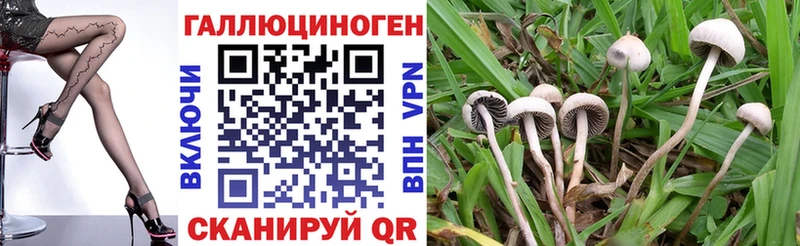 blacksprut ссылки  купить наркоту  Москва  нарко площадка как зайти  Псилоцибиновые грибы мухоморы 