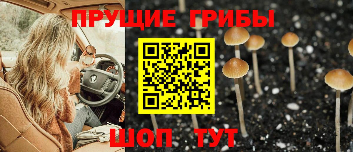 Галлюциногенные грибы прущие грибы Москва