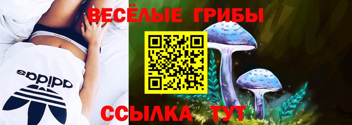 Москва  Псилоцибиновые грибы мицелий  Галлюциногенные грибы GOLDEN TEACHER  Вход с VPN 